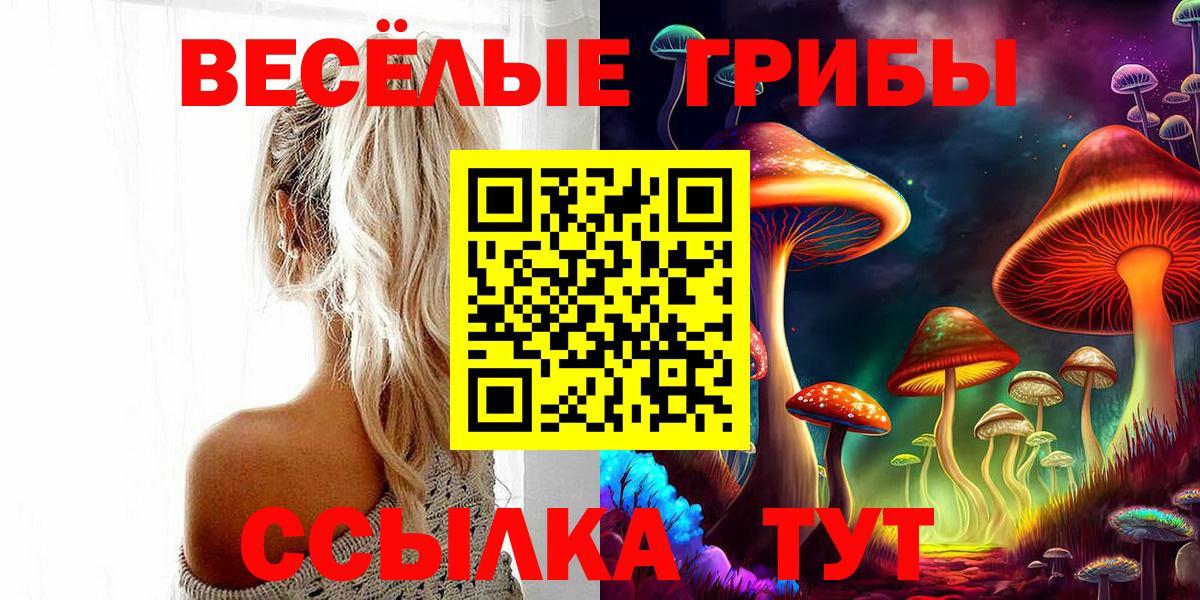 Галлюциногенные грибы Psilocybe  Вход с VPN  Нижнекамск  Псилоцибиновые грибы Magic Shrooms 
