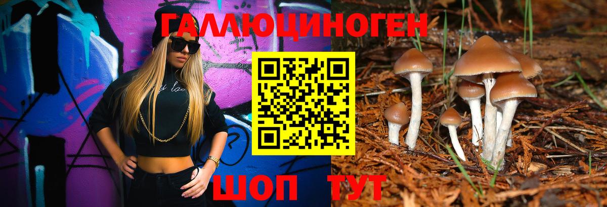 Псилоцибиновые грибы Psilocybe Нижнекамск